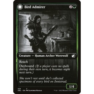 Bird Admirer // Wing Shredder