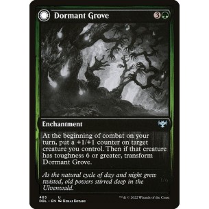 Dormant Grove // Gnarled...