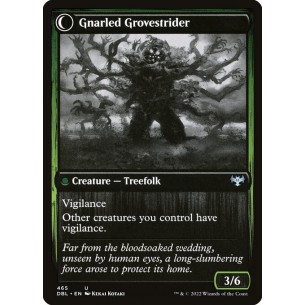 Dormant Grove // Gnarled... 2