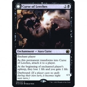 Curse of Leeches //...