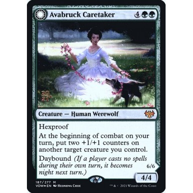 Avabruck Caretaker // Hollowhenge...