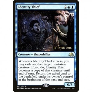 Identity Thief