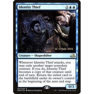 Identity Thief