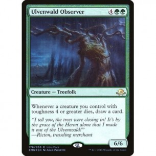 Ulvenwald Observer