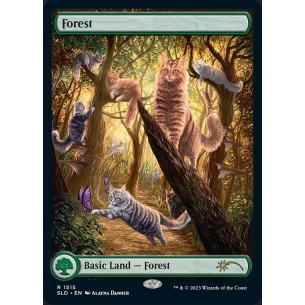 Forest