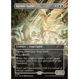 Karmic Guide