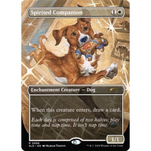 Spirited Companion