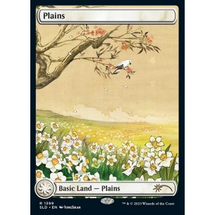 Plains