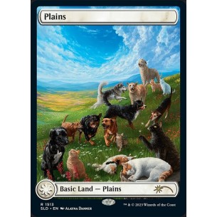 Plains