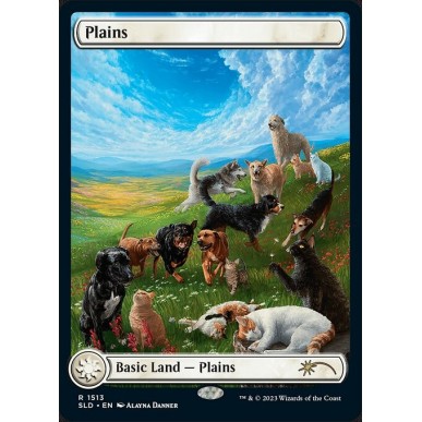 Plains