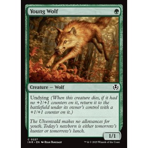 Young Wolf