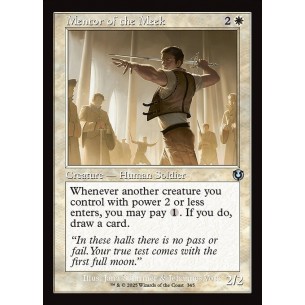 Mentor of the Meek