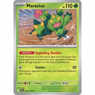 Maractus