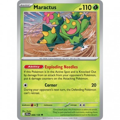 Maractus