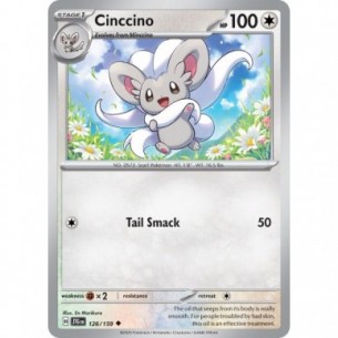 Cinccino