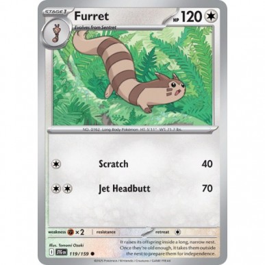 Furret