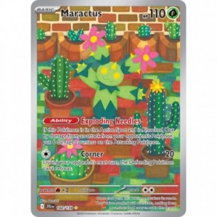 Maractus