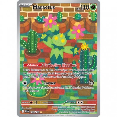 Maractus