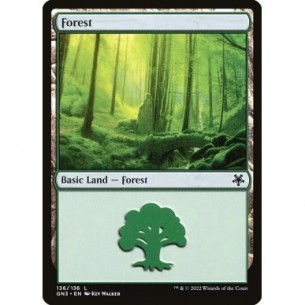 Foresta