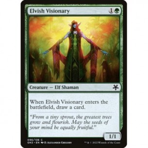 Elfa Visionaria