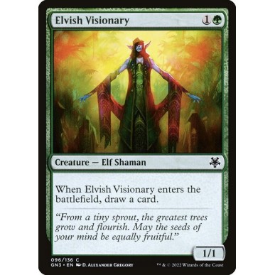 Elfa Visionaria