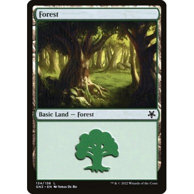 Foresta