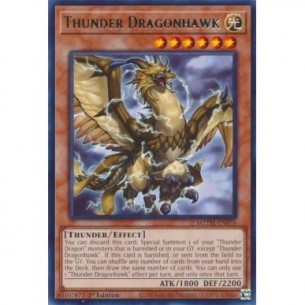 Thunder Dragonhawk
