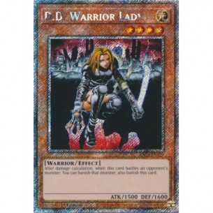 D.D. Warrior Lady (V.1 -...