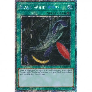 Vortice Nero (V.1 -...