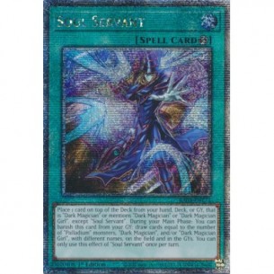 Soul Servant (V.2 - Quarter...