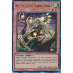 Ritual Beast Tamer Elder...