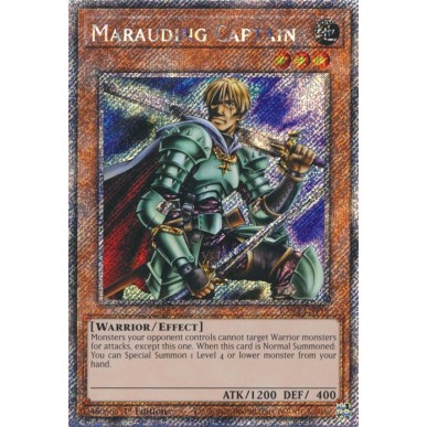 Capitano Saccheggiatore (V.1 -...
