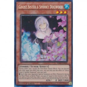 Ghost Sister & Spooky...