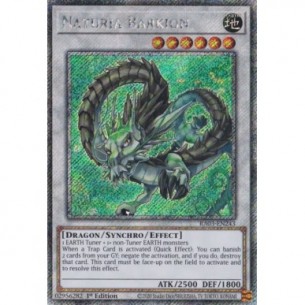 Naturia Barkion (V.1 -...
