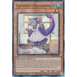 Dragonzella Bucato (V.7 -...
