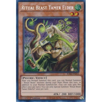 Domatore Bestia Spirito Elder (V.3 -...