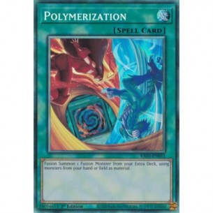 Polimerizzazione (V.12 -...
