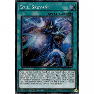 Servitore dell'Anima (V.1 - Platinum...