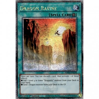 Gola Drago (V.2 - Quarter Century...