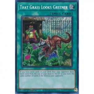Quell'Erba Sembra Più Verde...