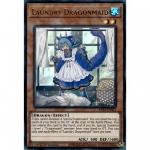 Dragonzella Bucato (V.2 -...