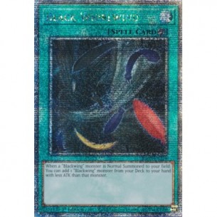 Vortice Nero (V.2 - Quarter...
