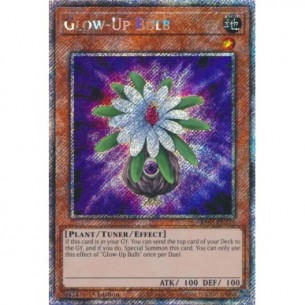 Bulbo Luminoso (V.1 -...