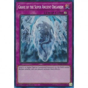 Grave of the Super Ancient...