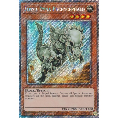 Pachicefalosauro Fossile (V.1 -...