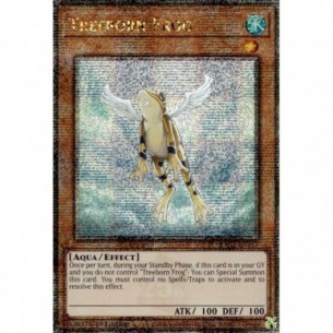 Treeborn Frog (V.2 -...