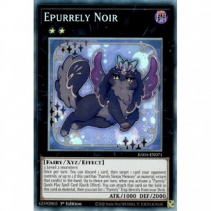 Epurrely Noir (V.5 -...