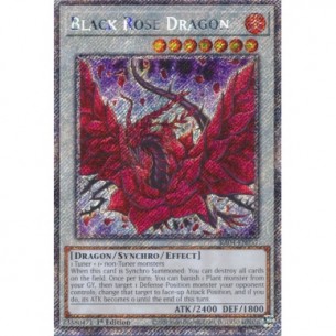 Drago Rosa Nera (V.7 -...