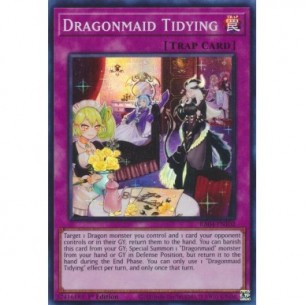 Riordino Dragonzella (V.1 -...