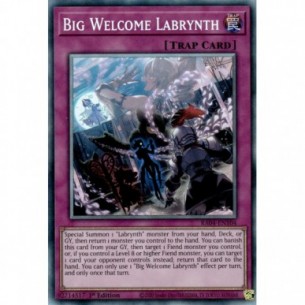 Big Welcome Labrynth (V.6 -...
